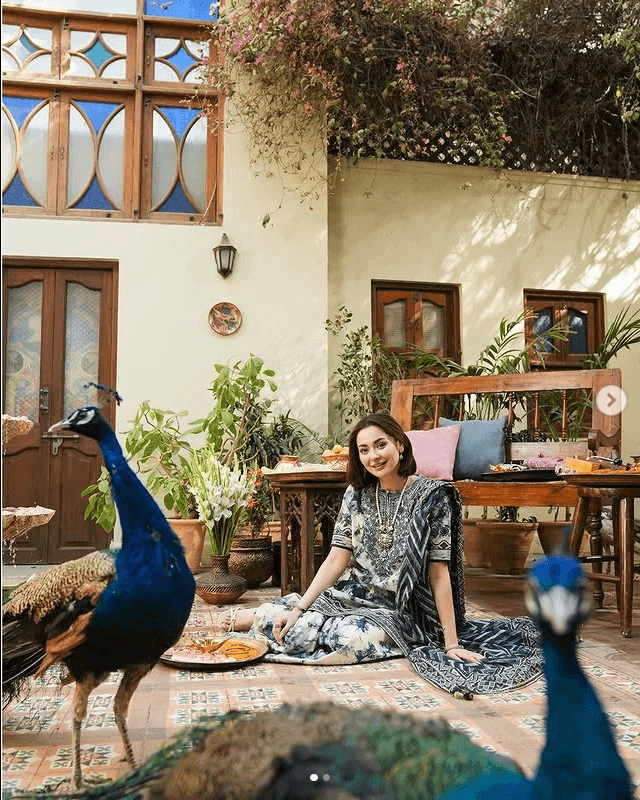 Sapphire Dhanak Embroidered 3 Piece | SP105