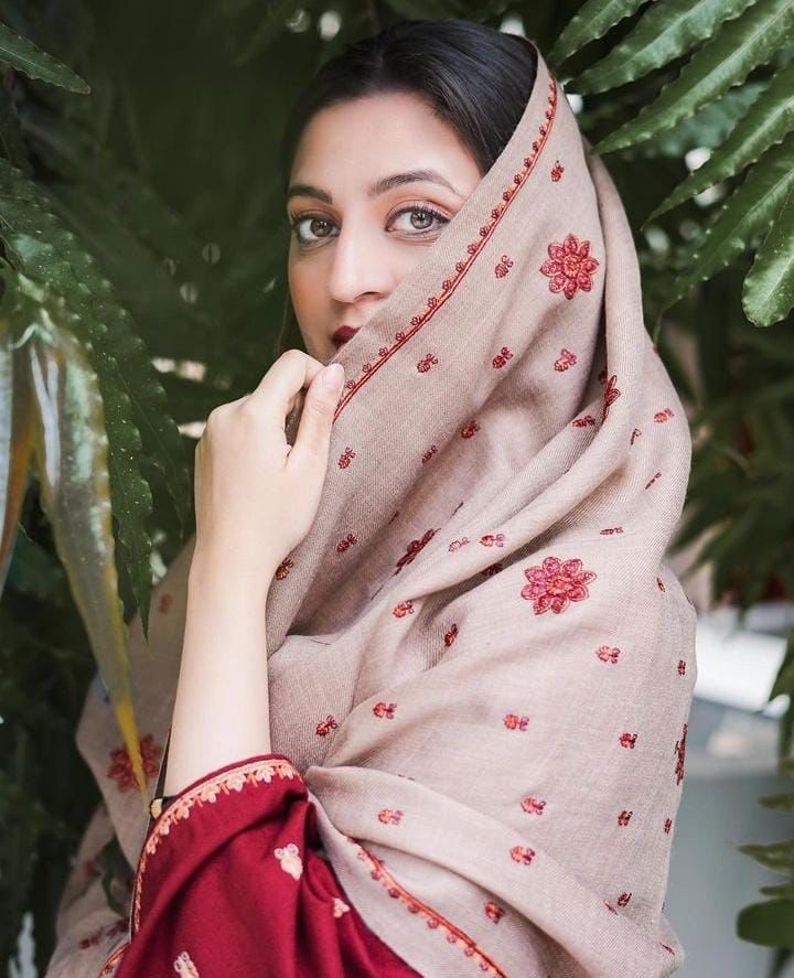 Aisling Dhanak Embroidered 3 Piece | AL111